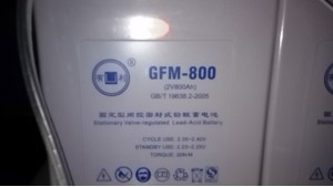 如何進行維護閥控式鉛酸蓄電池？